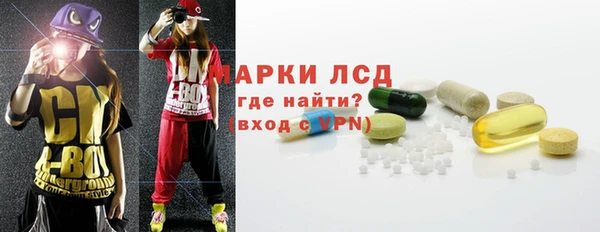 PSILOCYBIN Алзамай