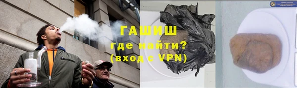 PSILOCYBIN Алзамай