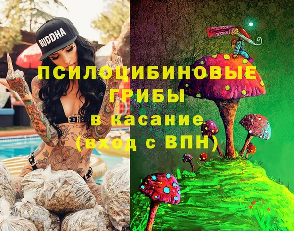 бошки Алексеевка