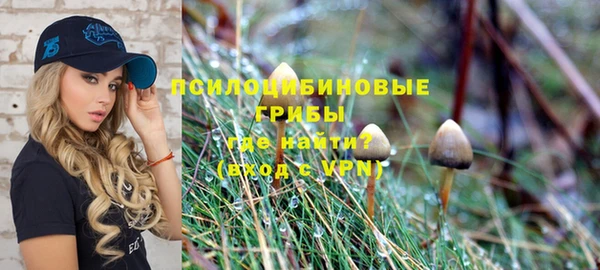PSILOCYBIN Алзамай