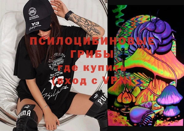 PSILOCYBIN Алзамай