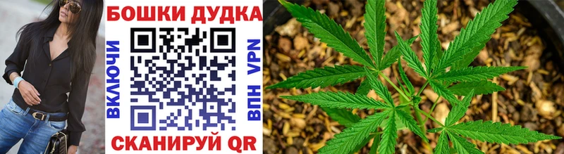 Конопля LSD WEED  Арск 